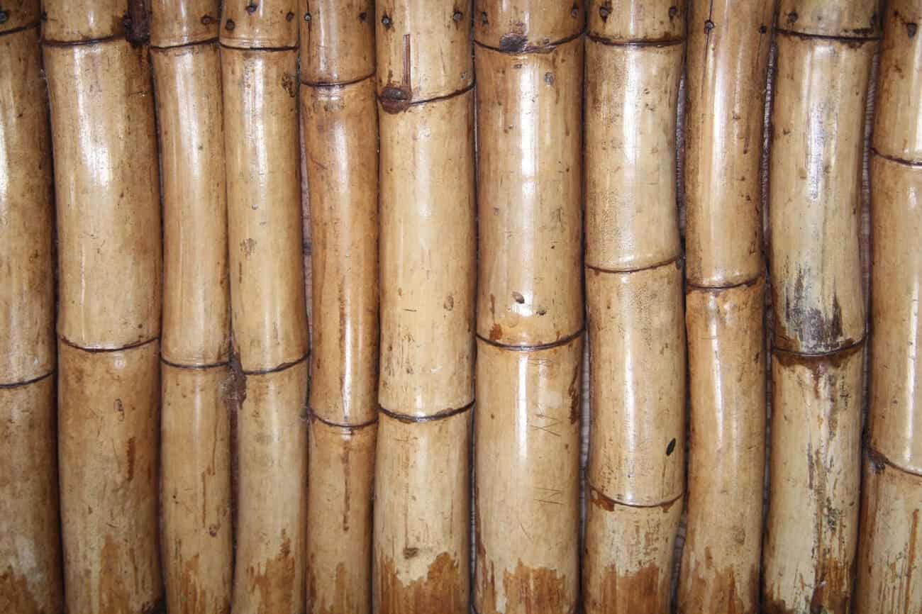 کلید و پریز از چوب بامبو